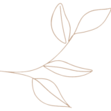 imagen-planta-masia-mas-coll imagen-planta-masia-mas-coll